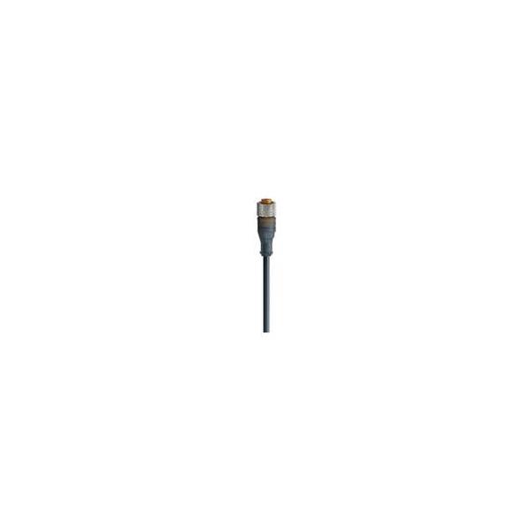 1215497 Steute 04.00.66 Coupling M12 x 1, 4-poles straight 2m Accessories for wireless universal trans